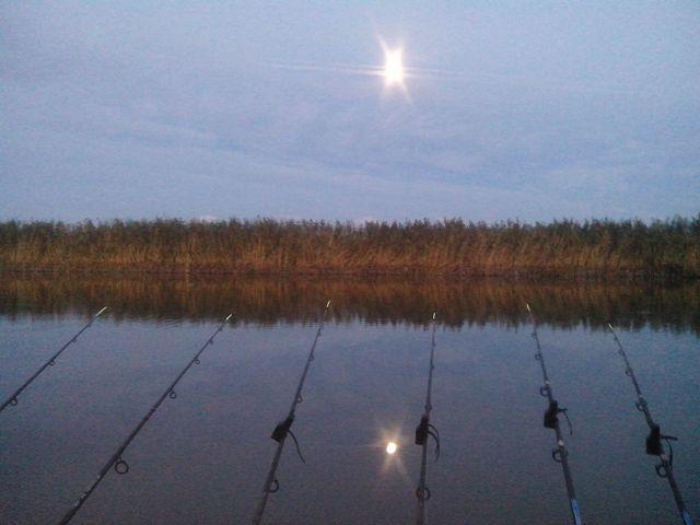 Sulina sept. 2013 - part. I - img20130917192727.jpg